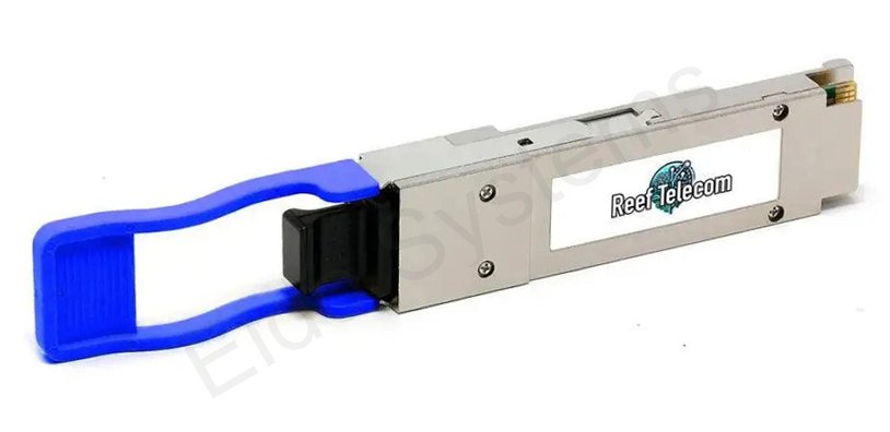 Reef Optics 40GBase-PLRL QSFP+ Module 1.4KM MPO NVIDIA Mellanox Compatible