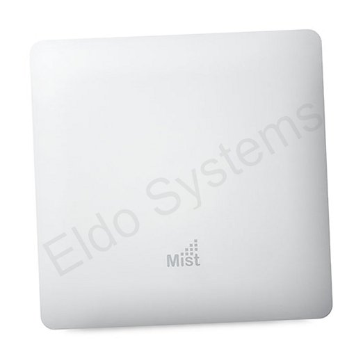 MIST-AP61-AI-1Y